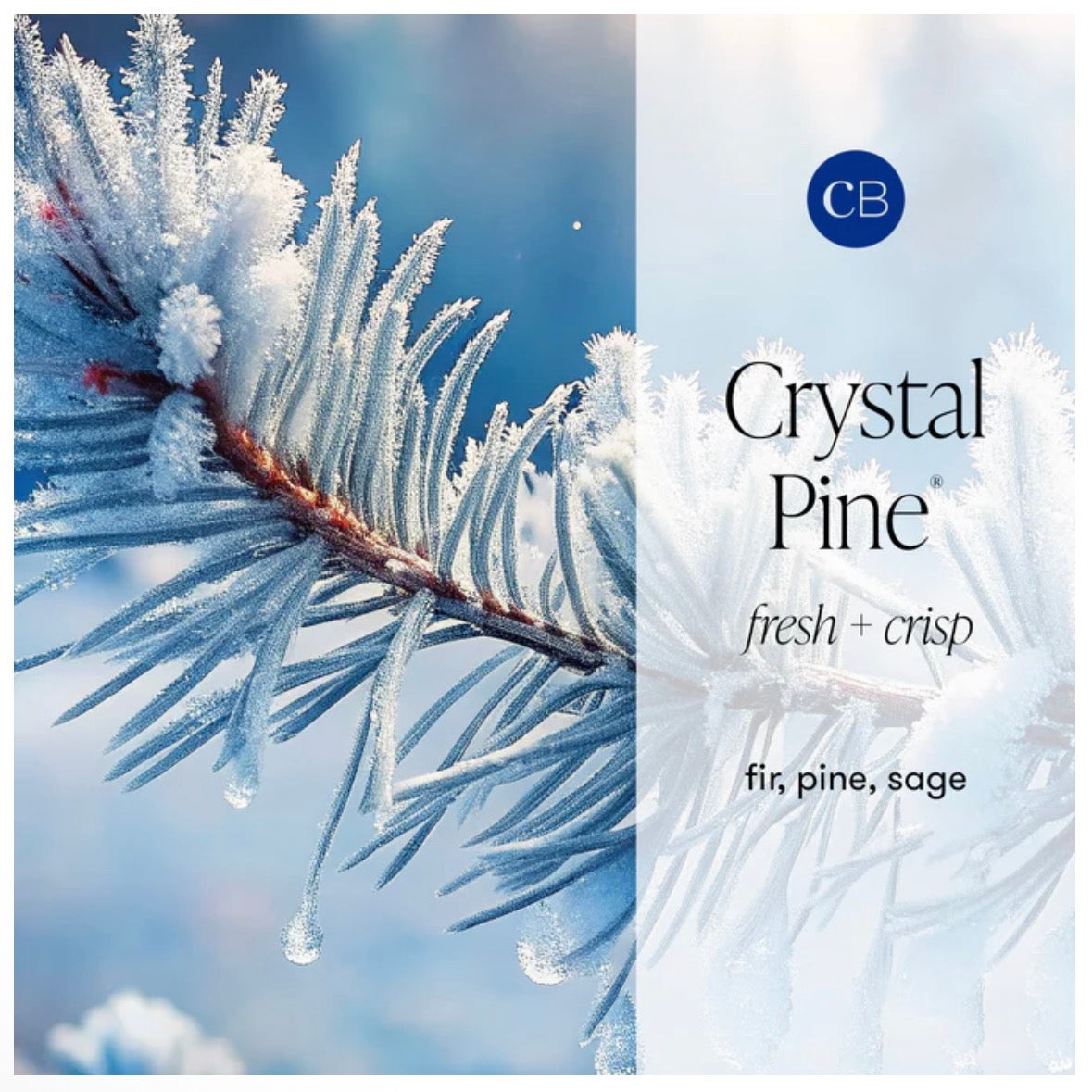 Capri BLUE - Crystal Pine Glimmer Hand Wash