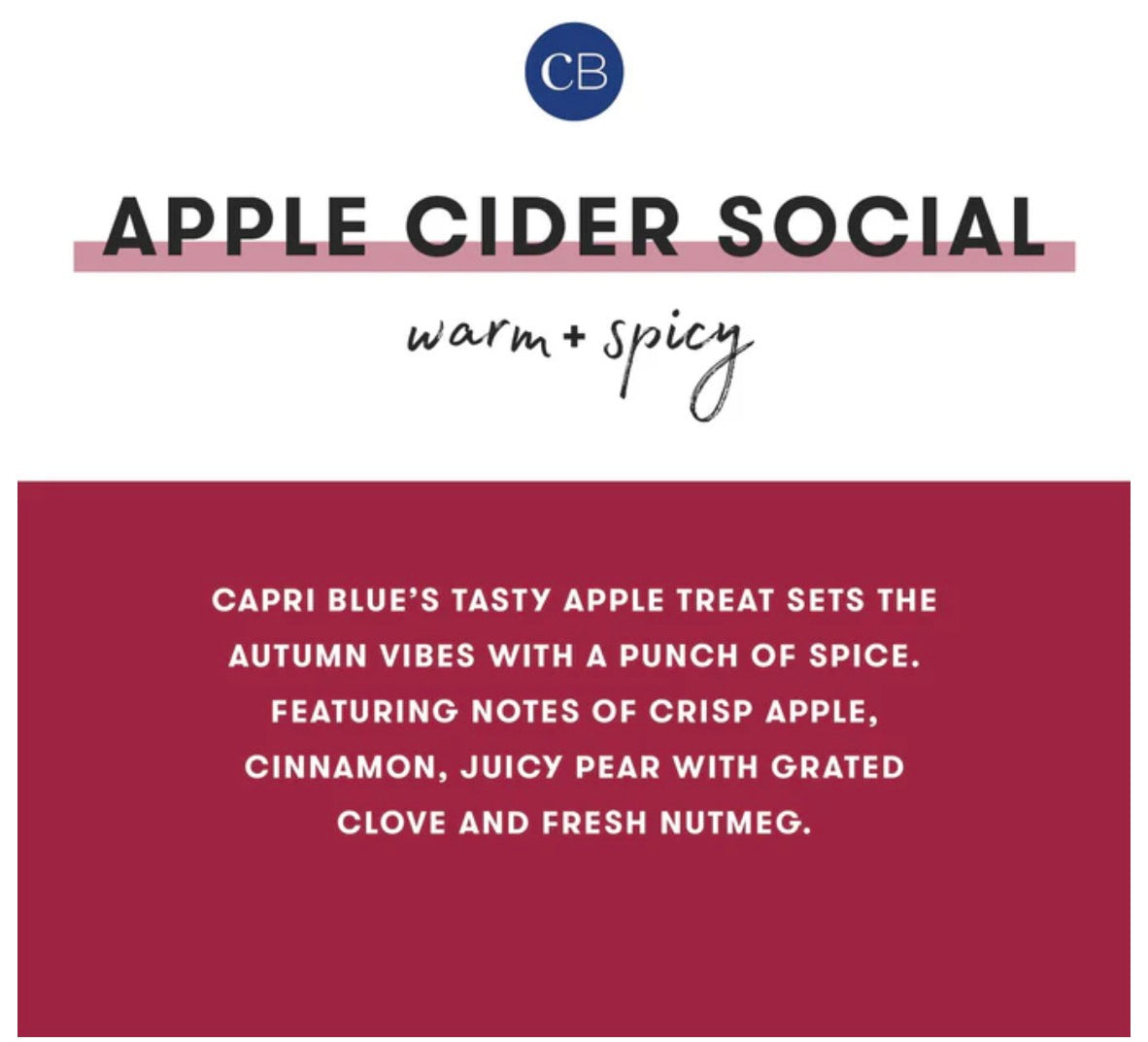 Capri BLUE - Apple Cider Social Holiday Pattern Play Petite Candle